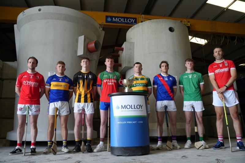 Offaly Intermediate Hurling Championship teams profiled