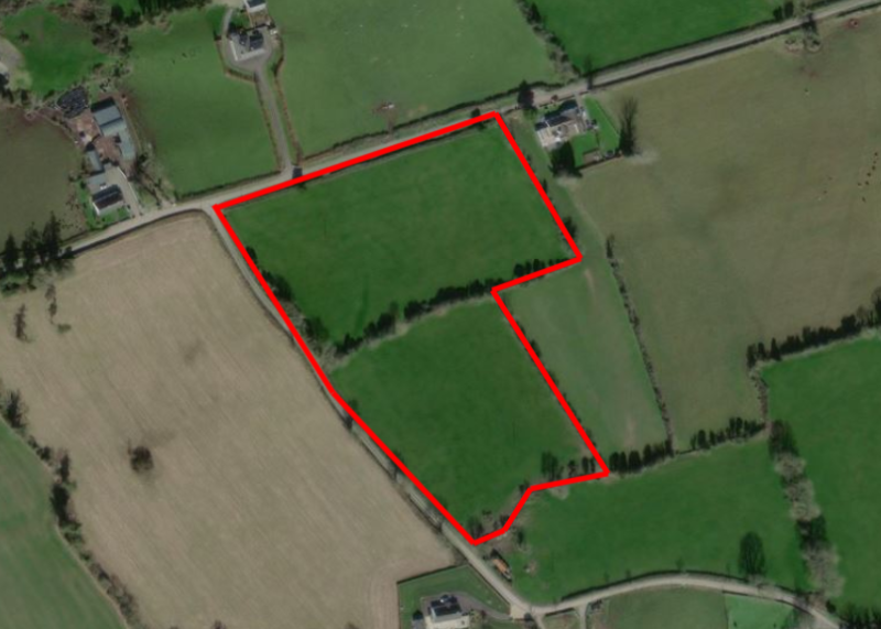 Top quality land with road frontage comes on the market in Offaly
