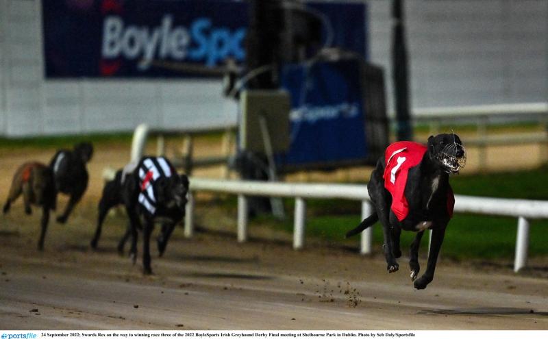 Gone to the dogs: Eight Offaly winners