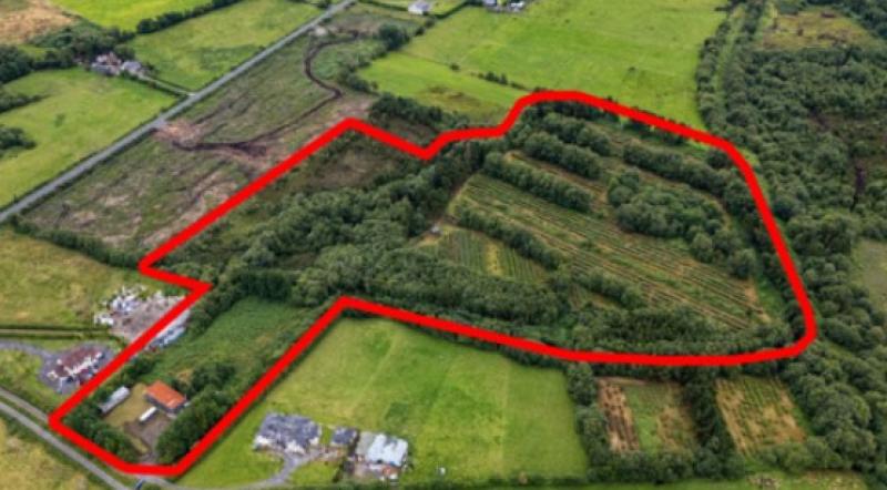 Rare opportunity in Offaly to purchase long-established blueberry farm