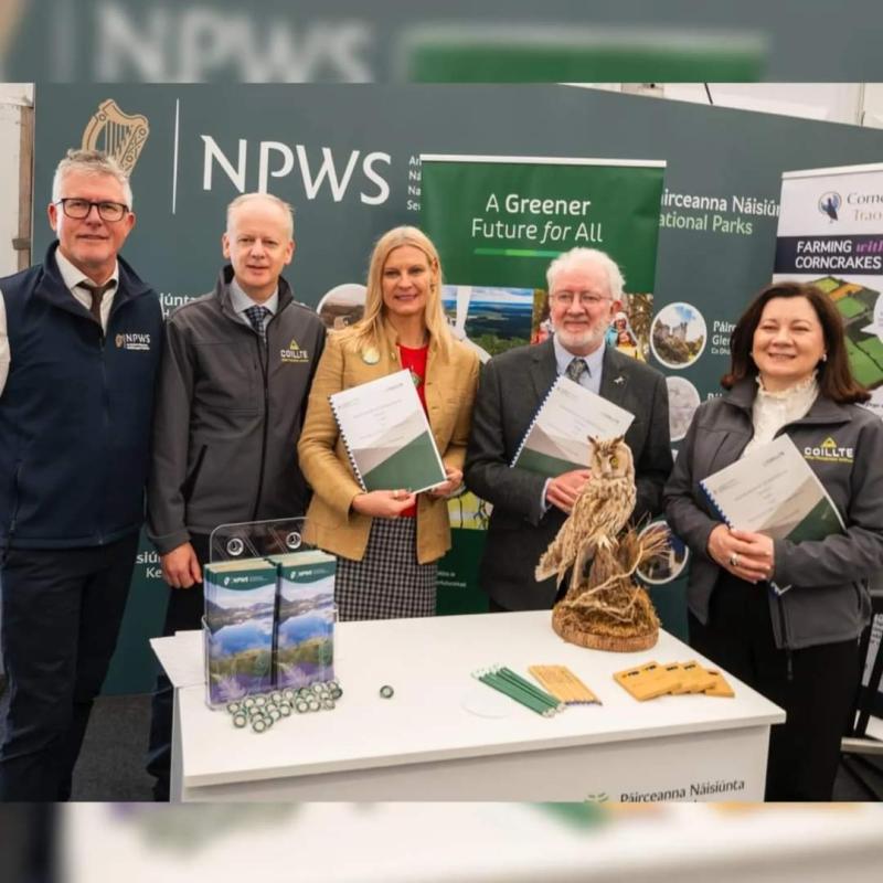 Endangered Hen Harrier will benefit from new agreement