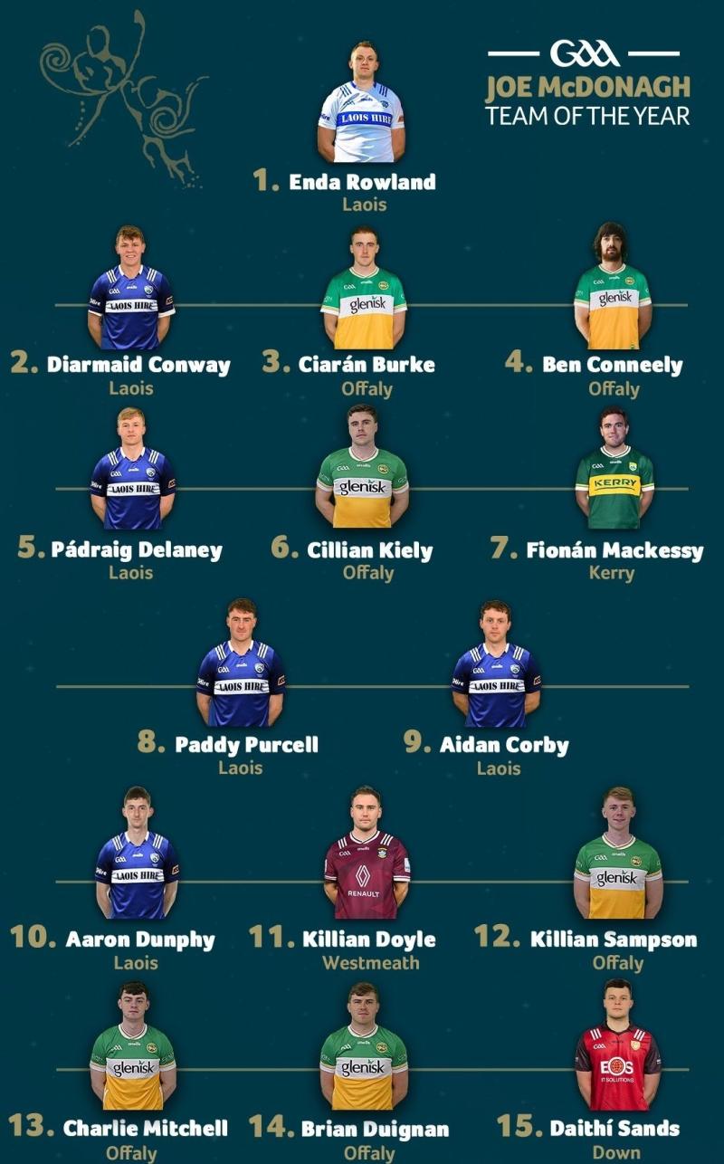 Six Offaly hurlers named on Joe McDonagh Cup team of the Year 