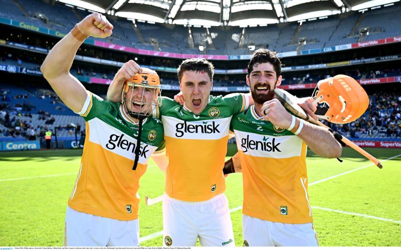 Six Offaly players named on Joe McDonagh Team of the Year