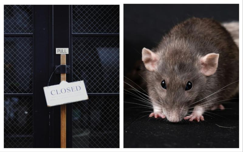 Popular Tipp takeaway forced to close after rats were seen running around premises 