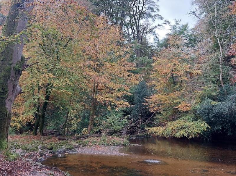 Autumn Mourne Park