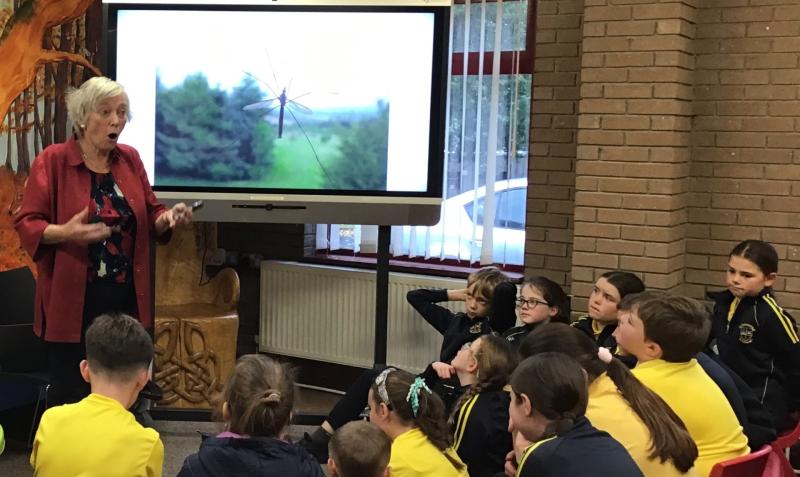 Packed programme of events for Children&rsquo;s Book Festival 2024 in Tipperary