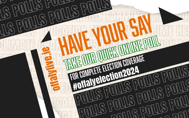 POLL: Will the Leaders' Debate on RT&Eacute; influence how you vote in the General Election?