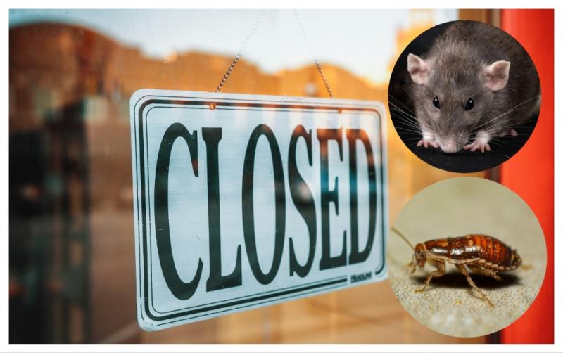 Decomposed rat carcass and live cockroaches on walls found as several food businesses ordered to close across country 