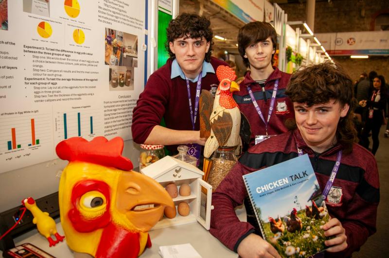 Birr Community School  Andr&eacute; Mulcahy Viegas, Alex Loughnane and Alfie McGrath
