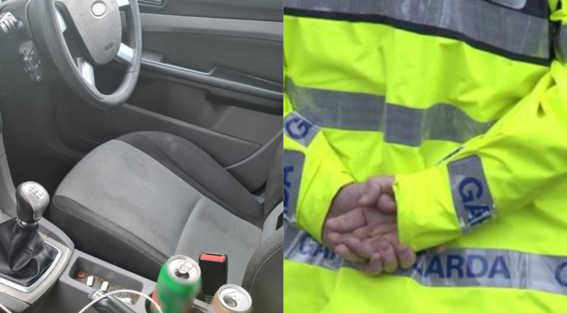 Garda&iacute; stop this learner driver for shocking reasons...