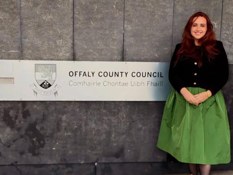 'This must not go to sit on a shelf'- Cllr calls for salt bin programme at Offaly County council meeting