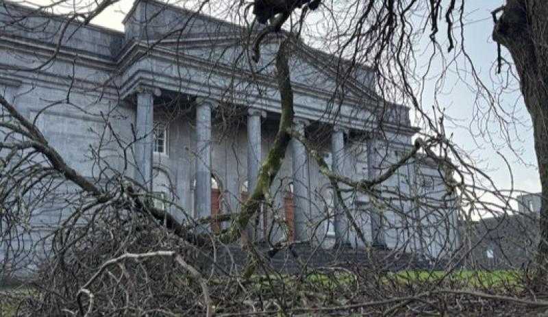 LIVE: Latest updates as over 14,000 premises in Offaly without power after Storm Eowyn