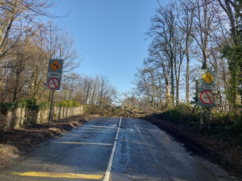 LIVE: Busy road out of Tullamore now closed to to massive fallen tree