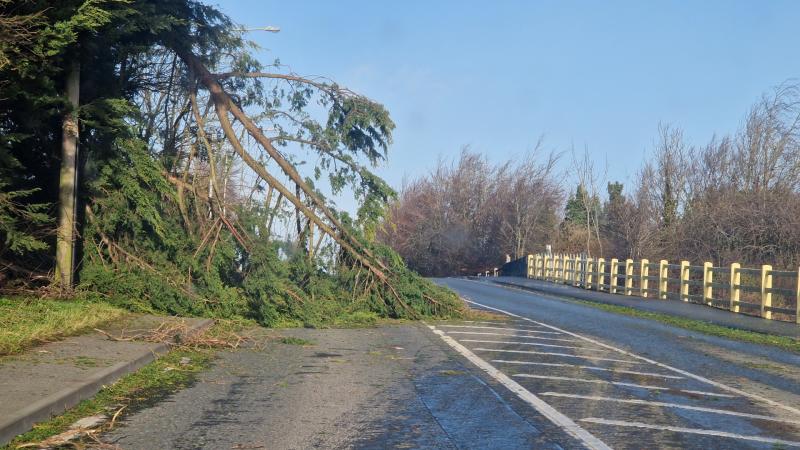 Offaly County Counicl issues update as clean up operation continues after Storm Eowyn