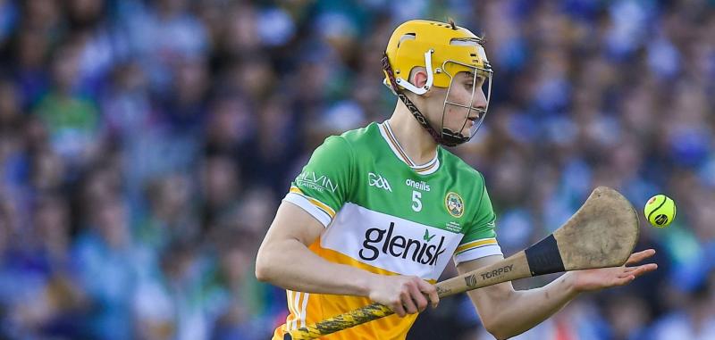Offaly hurling star named on Higher Education Rising Stars Hurling Team of the Year