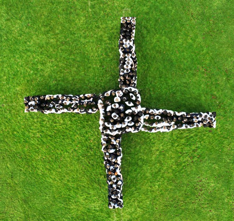 Offaly school students create phenomenal St Brigid's cross to mark saint's day