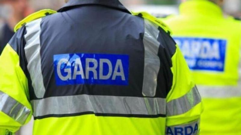 Gardaí appeal for witnesses of Laois house fire