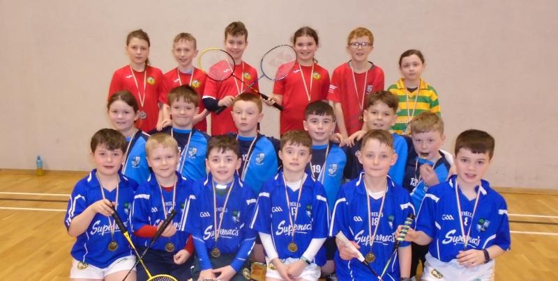 Badminton in Offaly: Gortnamona are big winners