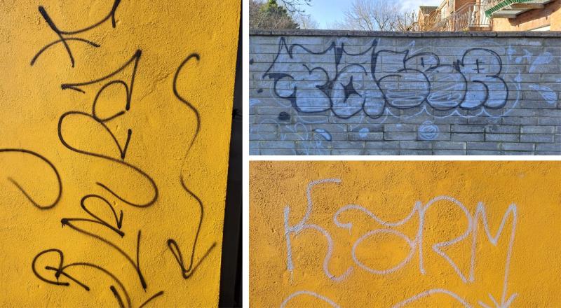 Investigation launched after overnight spate of graffiti across Tullamore