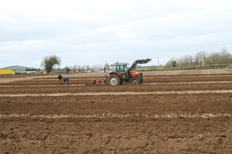 60th anniversary celebrations for North Tipperary Ploughing  Championships