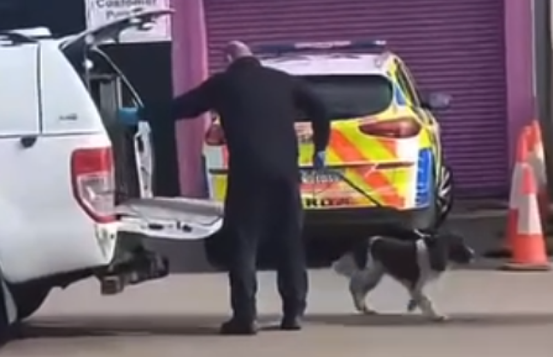 Garda&iacute; raid Laois shop in drug investigation