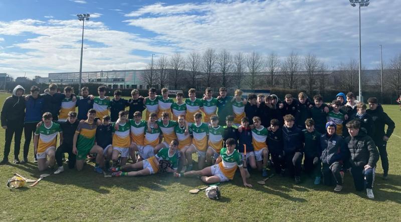 Screeney&rsquo;s brilliance sinks St Fergal&rsquo;s Rathdowney in Leinster Hurling final