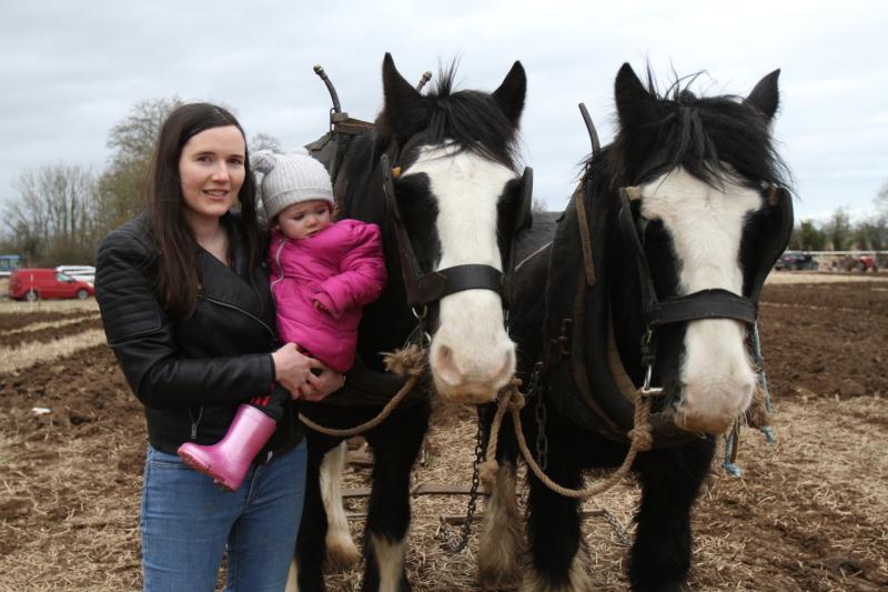 Big turn out for North Tipperary Ploughing Championships in Cloughjordan