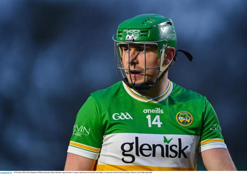 Offaly hurlers promoted and into League Final as Dublin defeat Carlow 