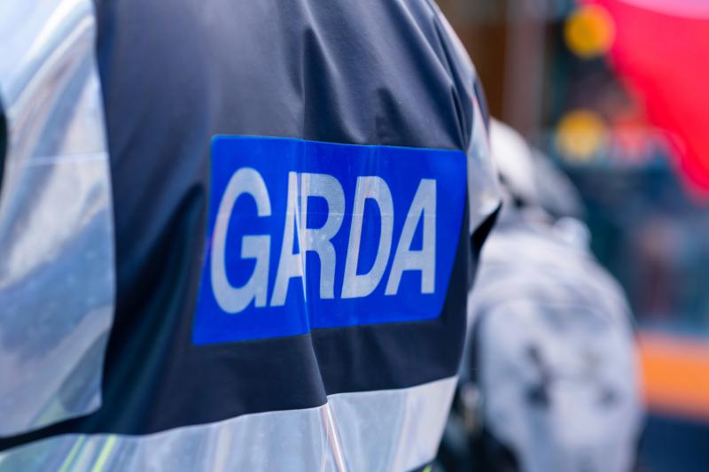 Two people arrested after series of thefts from vehicles in Offaly