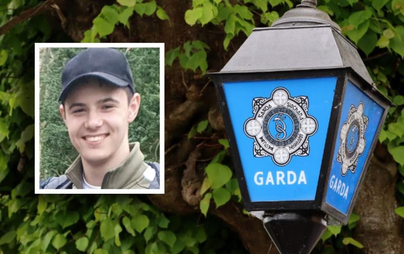 Gardaí stand down search for missing Laois teenager amid update