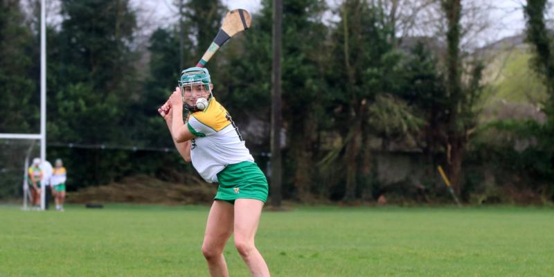 Pressure free game for league final bound Offaly camogie team