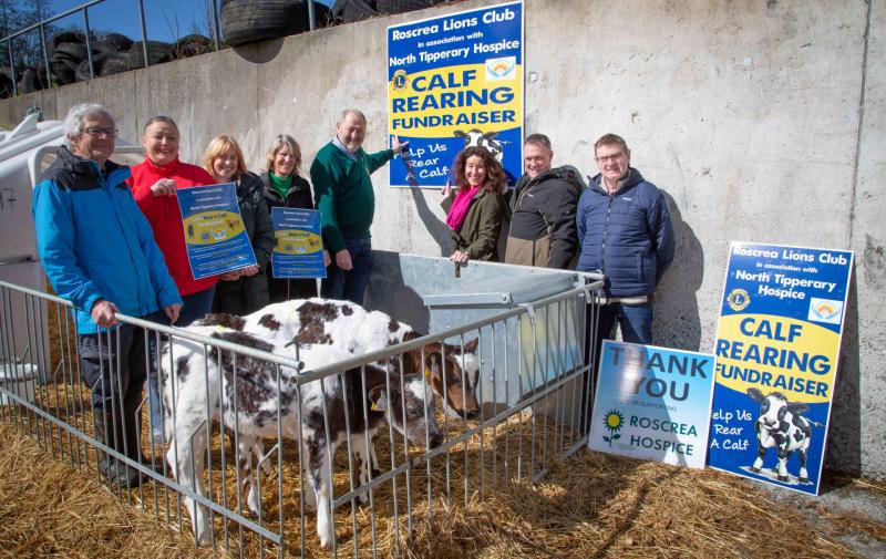 Rear a calf for Hospice with Roscrea Lions Club