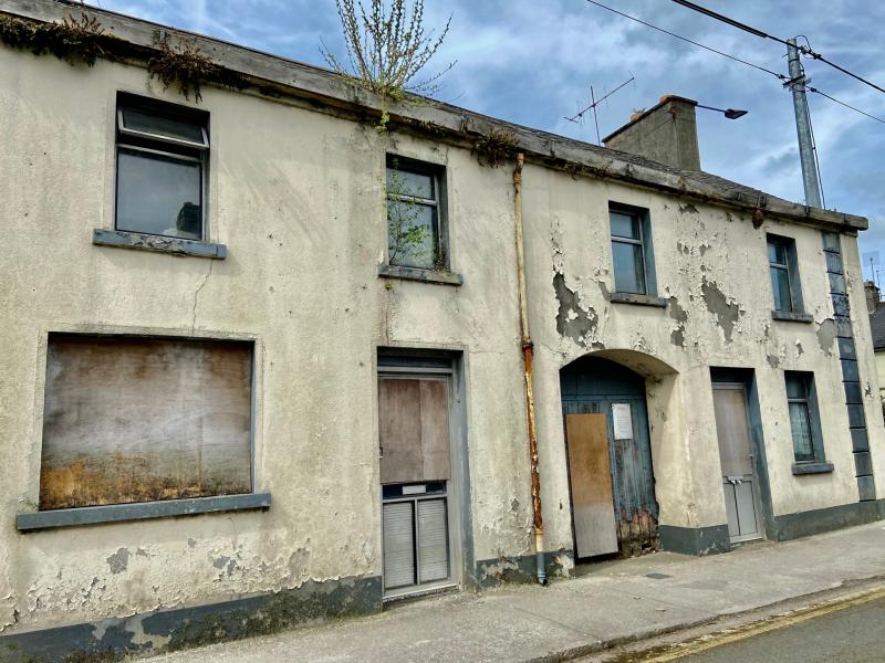 Roscrea bat colony nine houses