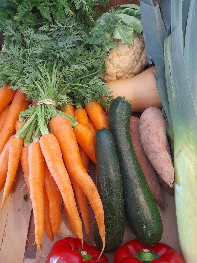 Leading organic farm in Offaly given green light for expansion