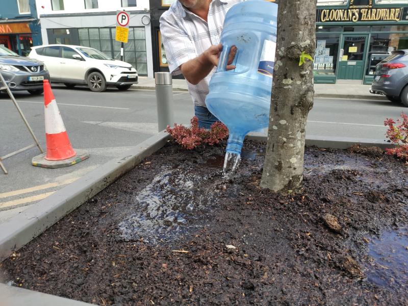 Council worker pouring one of the giant sized containers of water into the tree planter