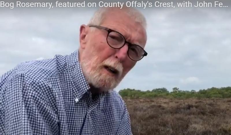 Expert John Feehan in one of his many popular videos on Offaly Wildflowers which has received funding 