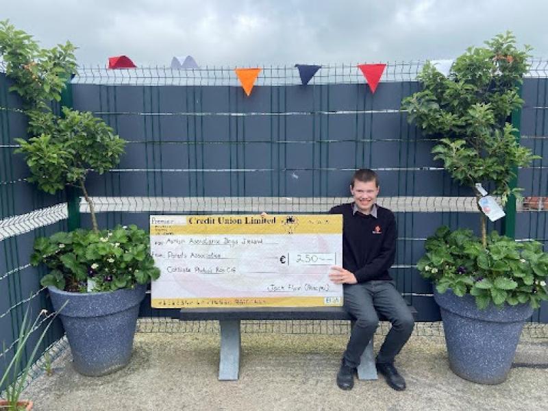 Roscrea Parent's Association support autism support dogs charity