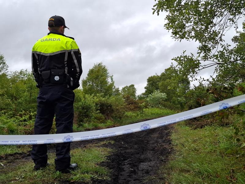 Search operation in Offaly by gardai investigating murder of Fiona Pender concludes
