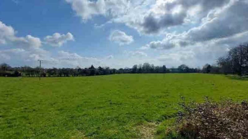 Rectory Fields Birr