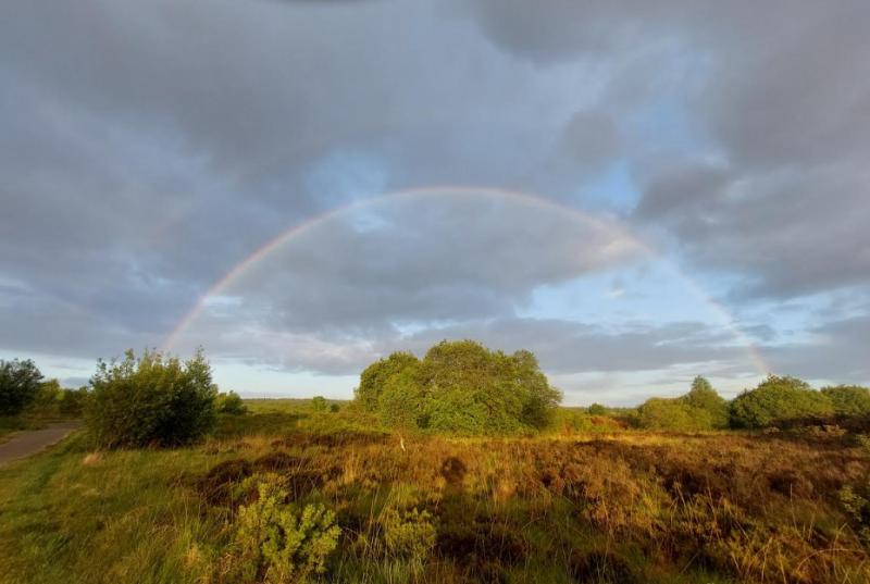 Lough Boora