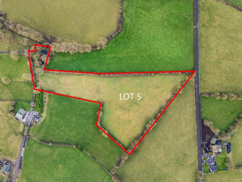 Parcel of land in Offaly shaped remarkably like mythical creature now on the market