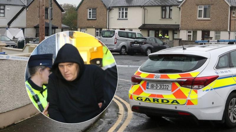 'I hit him with a shovel and I hope the c*** is dead'- Limerick killer told gardai 