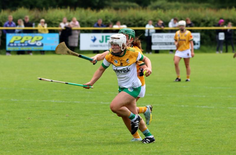 Offaly camogie team pipped at the post up north