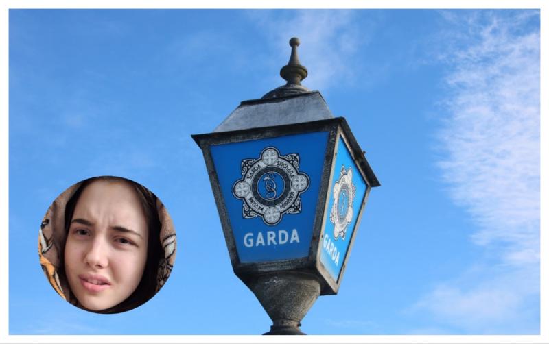 Have you seen Gabriel? Garda&iacute; concerned for welfare of missing 14-year-old