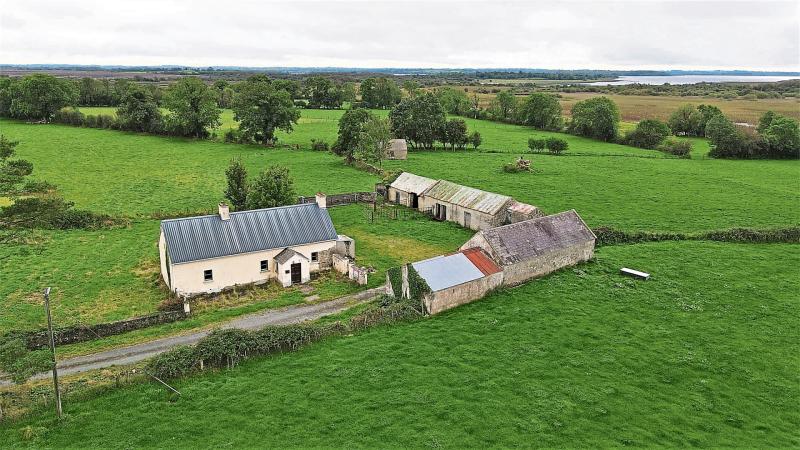 Longford farm is set to go under the hammer at public auction