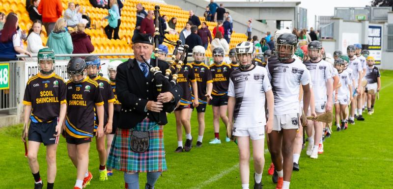 Traditional demarcation lines of Offaly football and hurling are “blurring” – County Board told