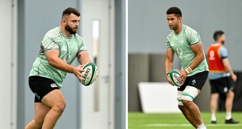 Offaly stars train with Ireland ahead of upcoming summer tour