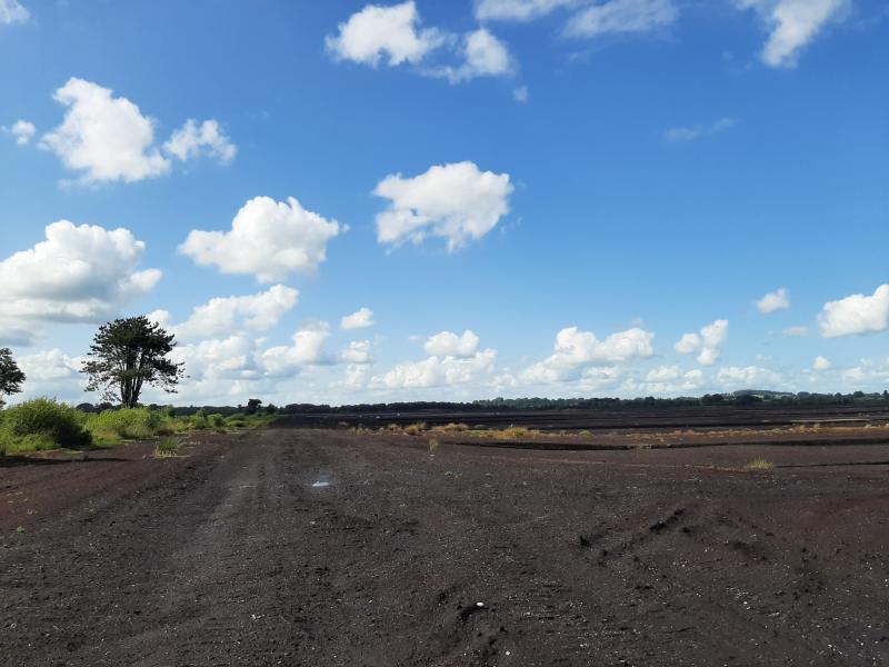 Offaly bog