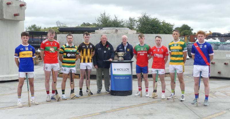 Shamrocks and Drumcullen hungry to step up in wide open Intermediate Hurling Championship