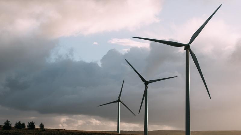 Neighbours have complained for years about 'unbearable noise' at Offaly wind farm